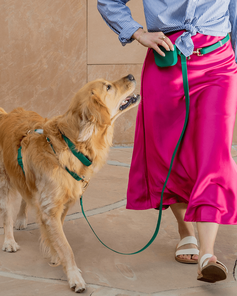 SUNNY TAILS - Meadow Green 4-in-1 Convertible Hands Free Cloud Dog Leash - Doglicious Bakery Bites