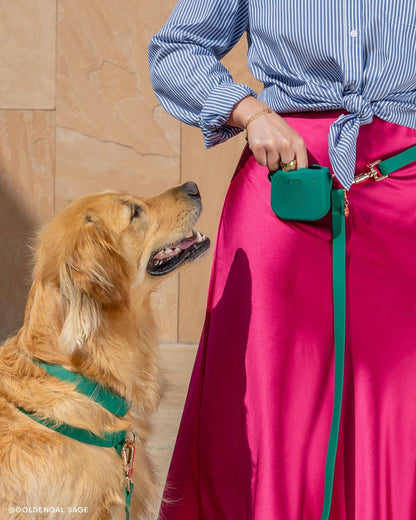 SUNNY TAILS - Meadow Green 4-in-1 Convertible Hands Free Cloud Dog Leash - Doglicious Bakery Bites