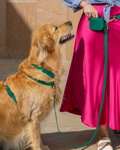 SUNNY TAILS - Meadow Green Waterproof Dog Collar - Doglicious Bakery Bites
