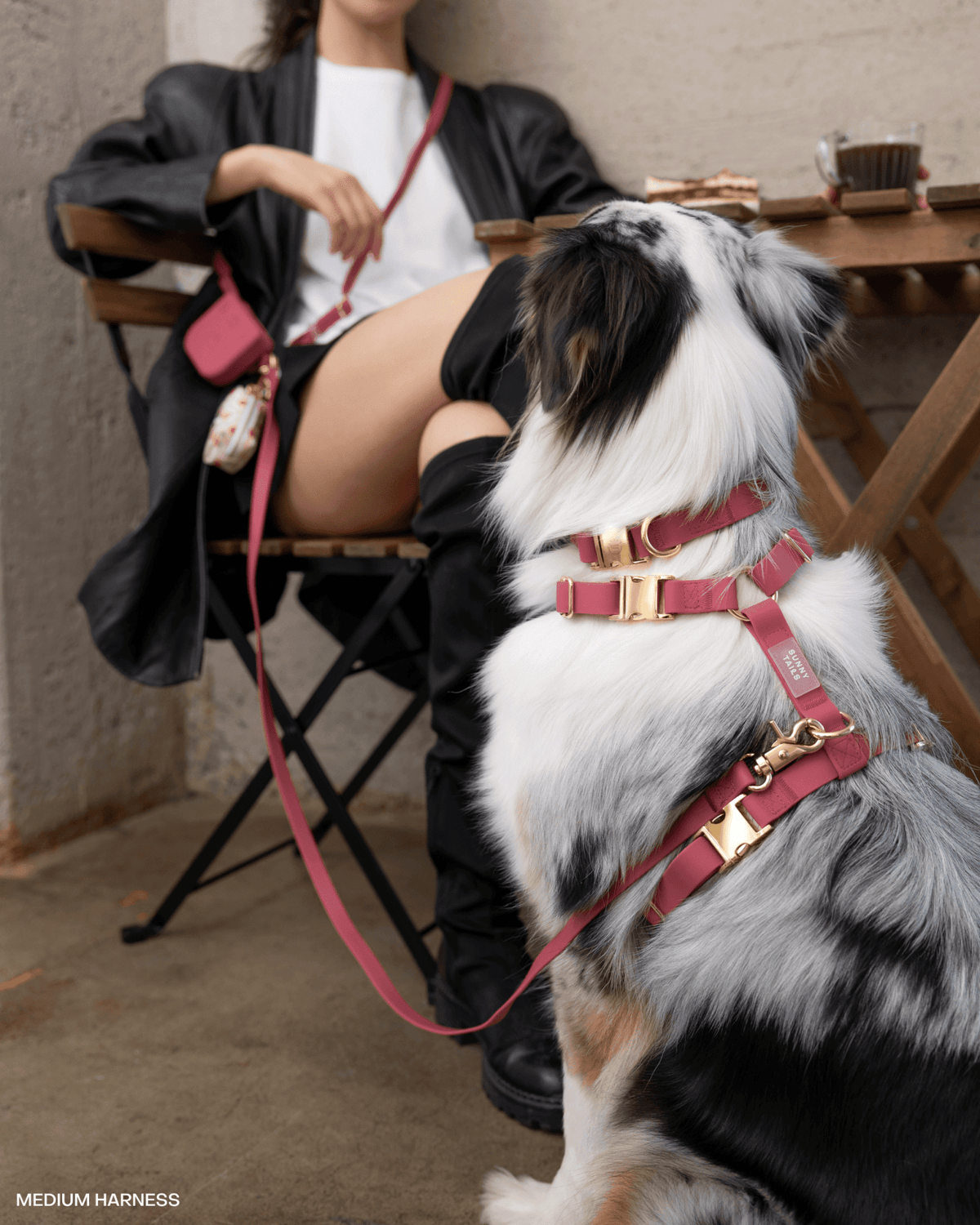 SUNNY TAILS - Mulberry Burgundy 4-in-1 Convertible Hands Free Cloud Dog Leash - Doglicious Bakery Bites
