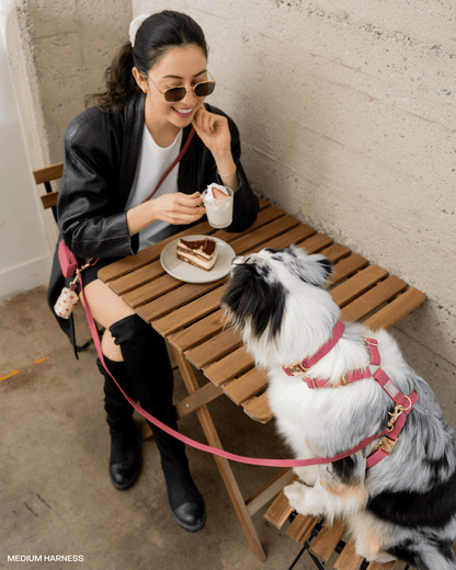 SUNNY TAILS - Mulberry Burgundy Waterproof Dog Collar - Doglicious Bakery Bites