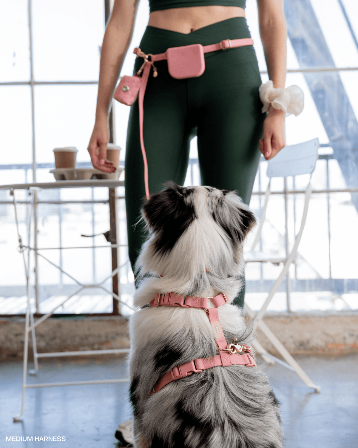 SUNNY TAILS - Perfect Pink Snap Dog Treat Pouch - Doglicious Bakery Bites