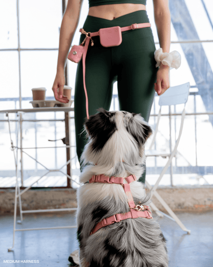 SUNNY TAILS - Perfect Pink Snap Dog Treat Pouch - Doglicious Bakery Bites
