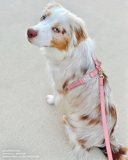 SUNNY TAILS - Perfect Pink Waterproof Cloud Dog Leash - Doglicious Bakery Bites