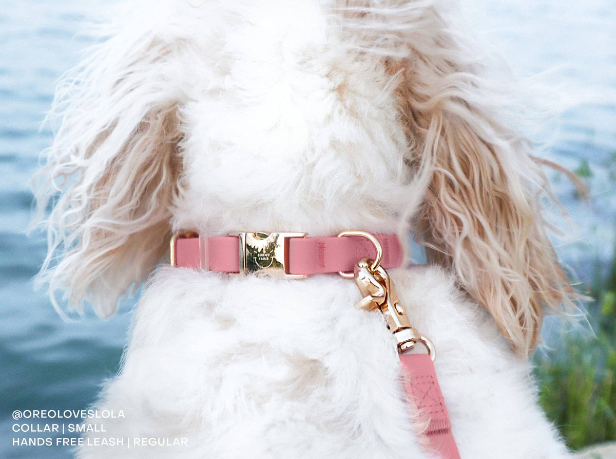 SUNNY TAILS - Perfect Pink Waterproof Cloud Dog Leash - Doglicious Bakery Bites