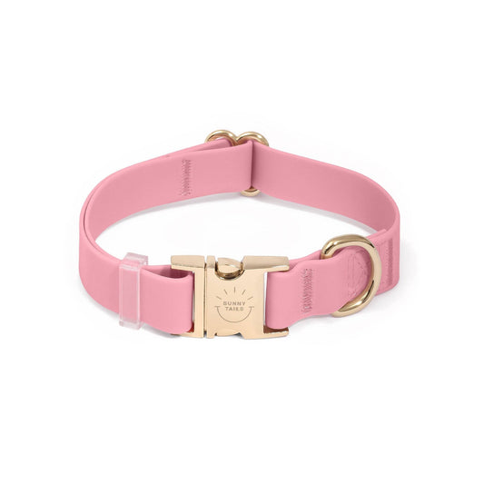 SUNNY TAILS - Perfect Pink Waterproof Dog Collar - Doglicious Bakery Bites