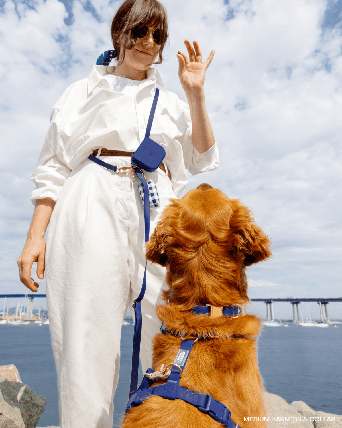 SUNNY TAILS - Signature Navy Snap Dog Treat Pouch - Doglicious Bakery Bites
