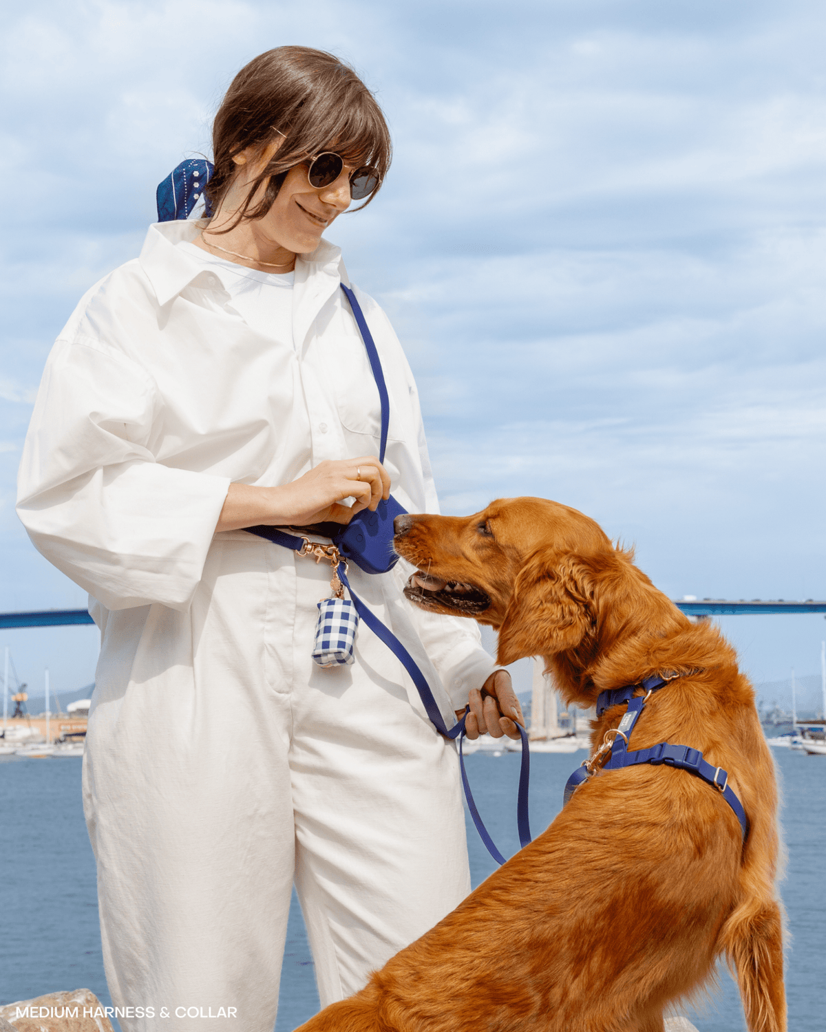 SUNNY TAILS - Signature Navy Snap Dog Treat Pouch - Doglicious Bakery Bites