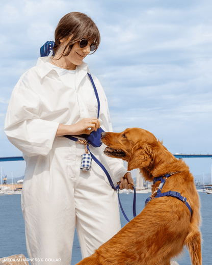 SUNNY TAILS - Signature Navy Snap Dog Treat Pouch - Doglicious Bakery Bites