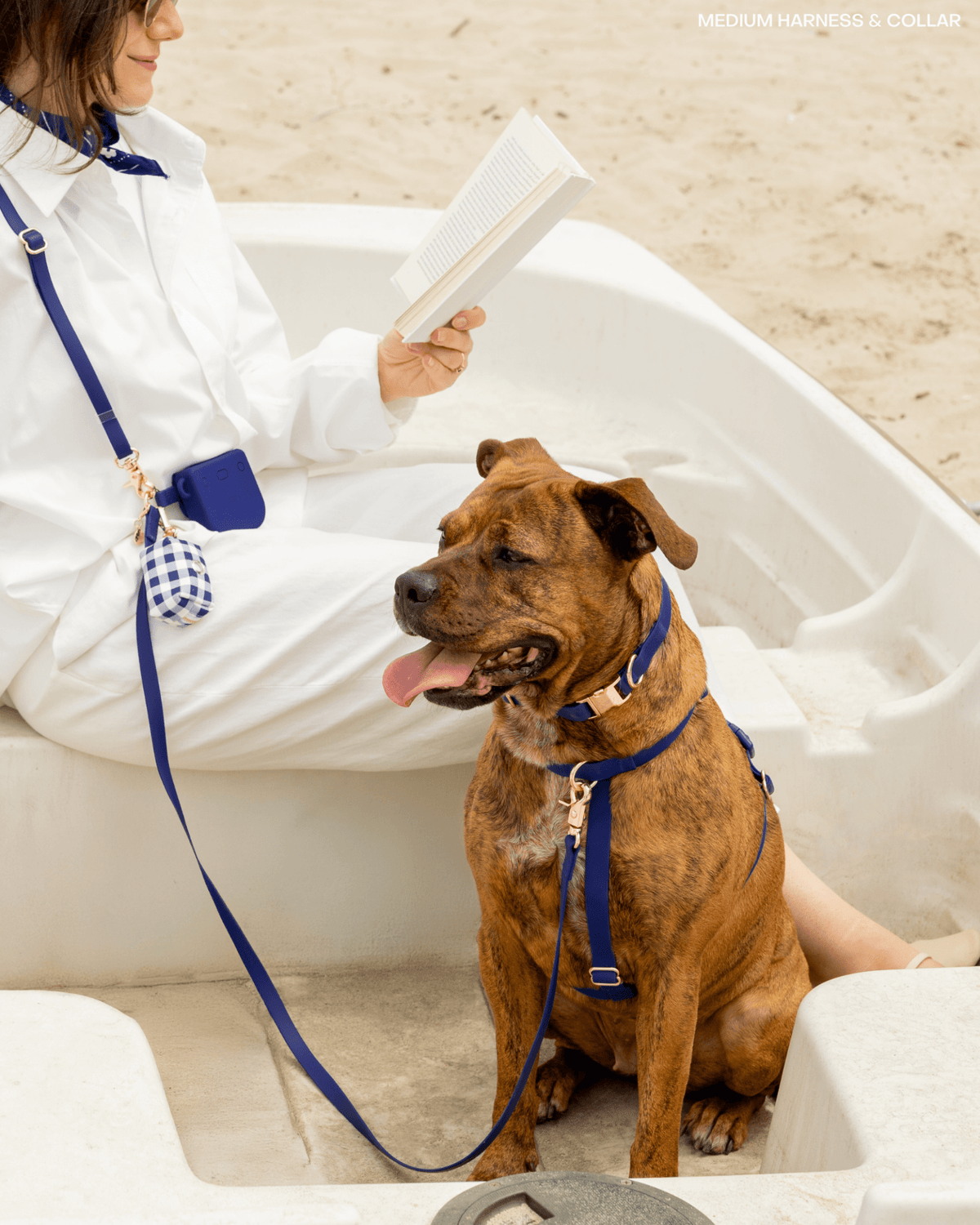 SUNNY TAILS - Signature Navy Waterproof Dog Collar - Doglicious Bakery Bites