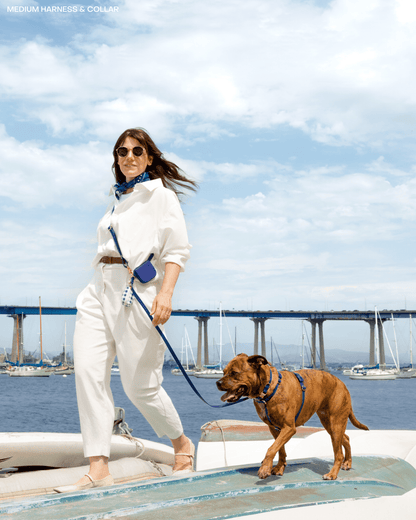 SUNNY TAILS - Signature Navy Waterproof Dog Collar - Doglicious Bakery Bites