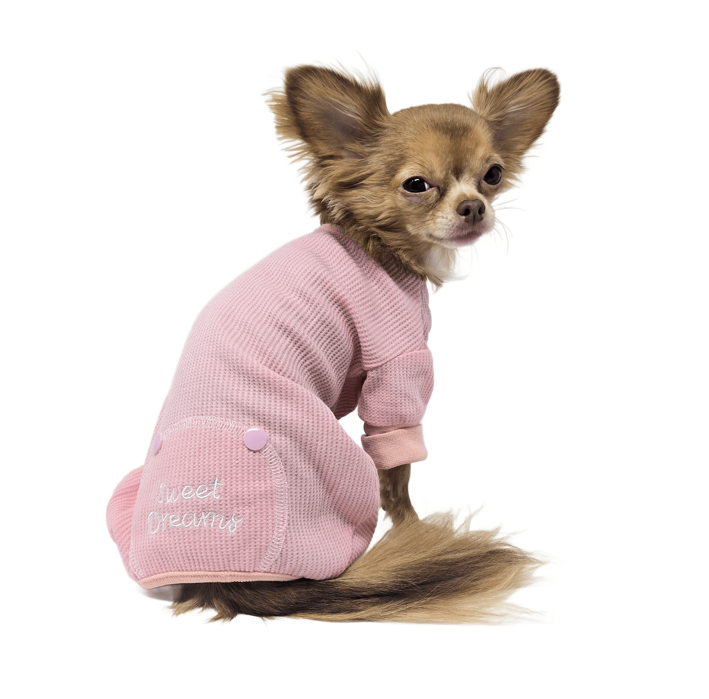 Sweet Dreams Thermal Dog Pajamas - Pink - Doglicious Bakery Bites