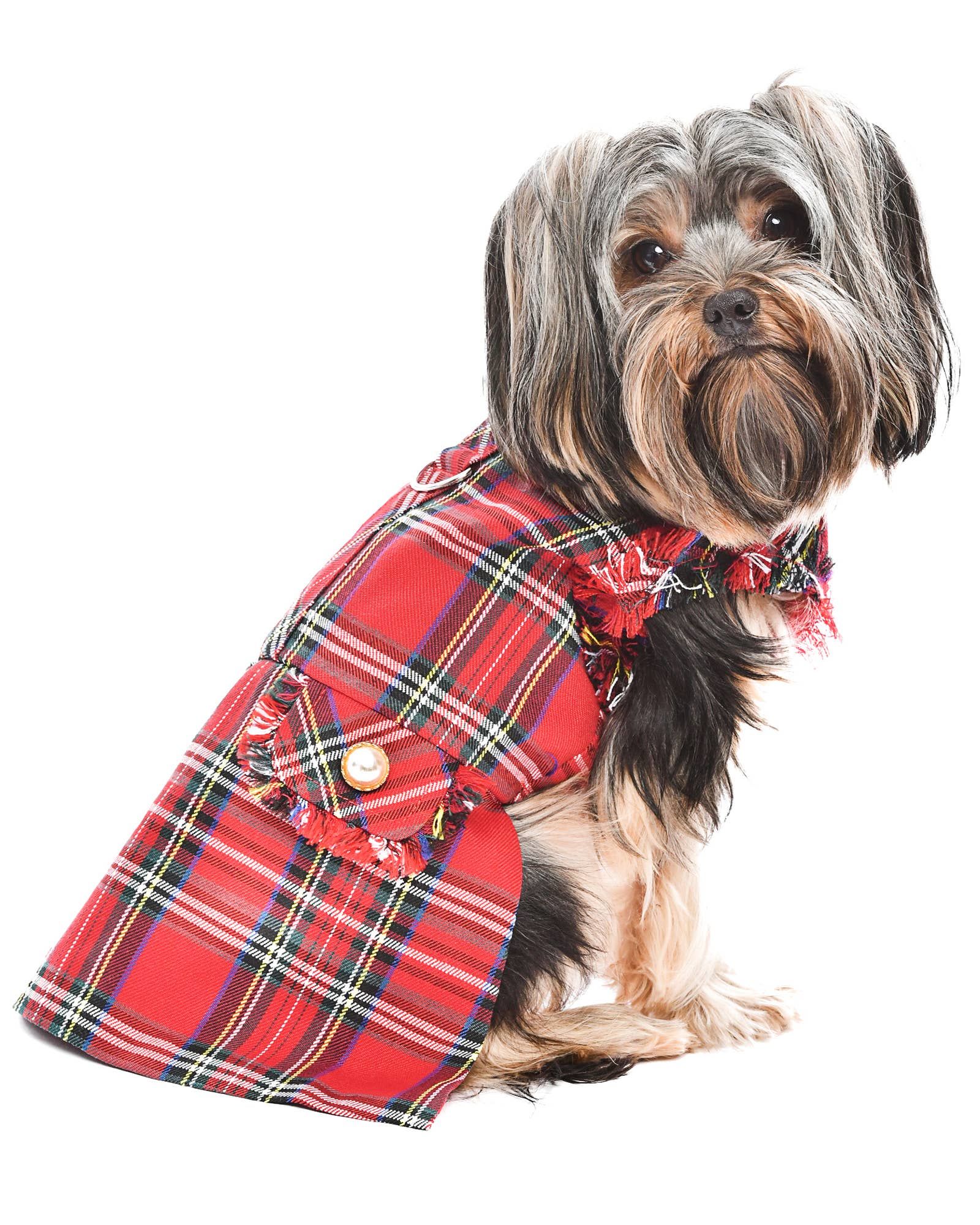 Tartan Fringe Dress Red – Chic Plaid Outfit for Pets - Doglicious Bakery Bites
