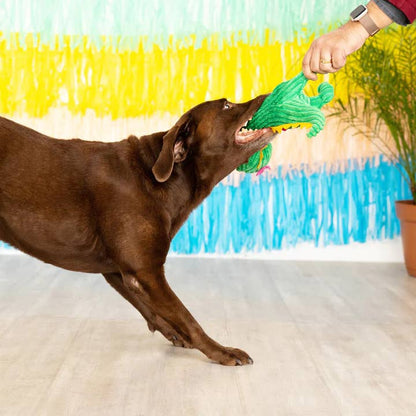 Thorny Thelma Dinasour - Doglicious Bakery Bites