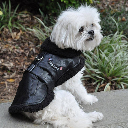Top Dog Flight Harness Bomber Coat - Black - Doglicious Bakery Bites