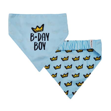 Two Sided Bandana - Birthday Boy - Doglicious Bakery Bites