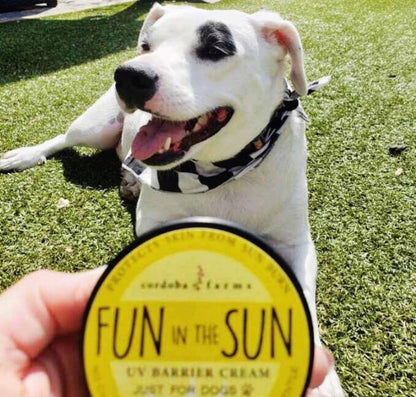 UV BARRIER CREAM Just For Dogs! - Doglicious Bakery Bites