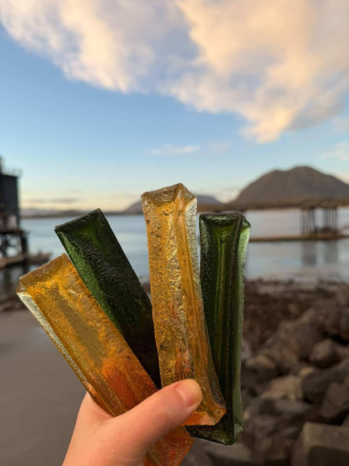 Wag & Bright Supply Co. - Mighty Marrows Collagen Dental Chew- Spirulina Beef- 3 Sizes - Doglicious Bakery Bites