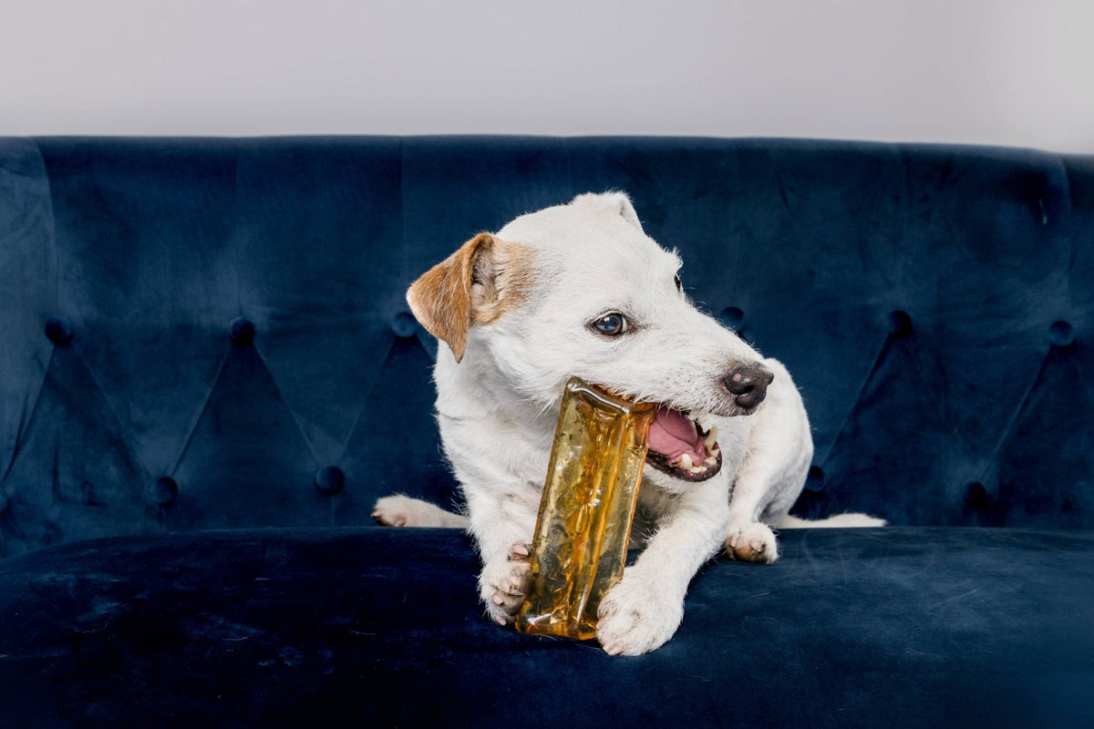 Wag & Bright Supply Co. - Mighty Marrows Collagen Dental Chew- Spirulina Beef- 3 Sizes - Doglicious Bakery Bites
