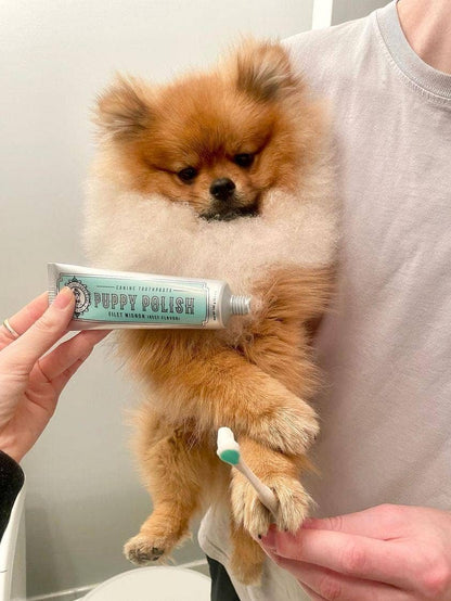 Wag & Bright Supply Co. - Puppy Polish Toothpaste - Filet Mignon (Beef) - Doglicious Bakery Bites