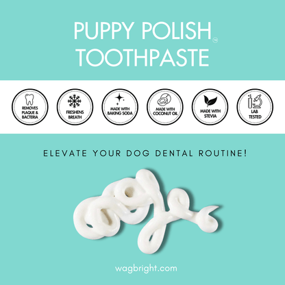 Wag & Bright Supply Co. - Puppy Polish Toothpaste - Filet Mignon (Beef) - Doglicious Bakery Bites