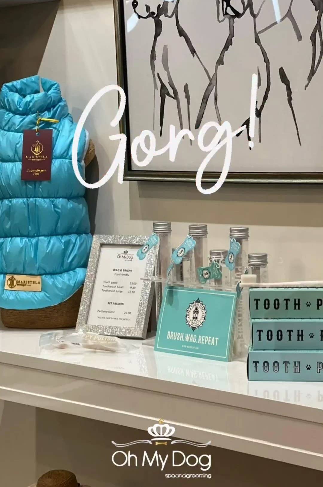 Wag & Bright Supply Co. - Puppy Polish Toothpaste - Filet Mignon (Beef) - Doglicious Bakery Bites