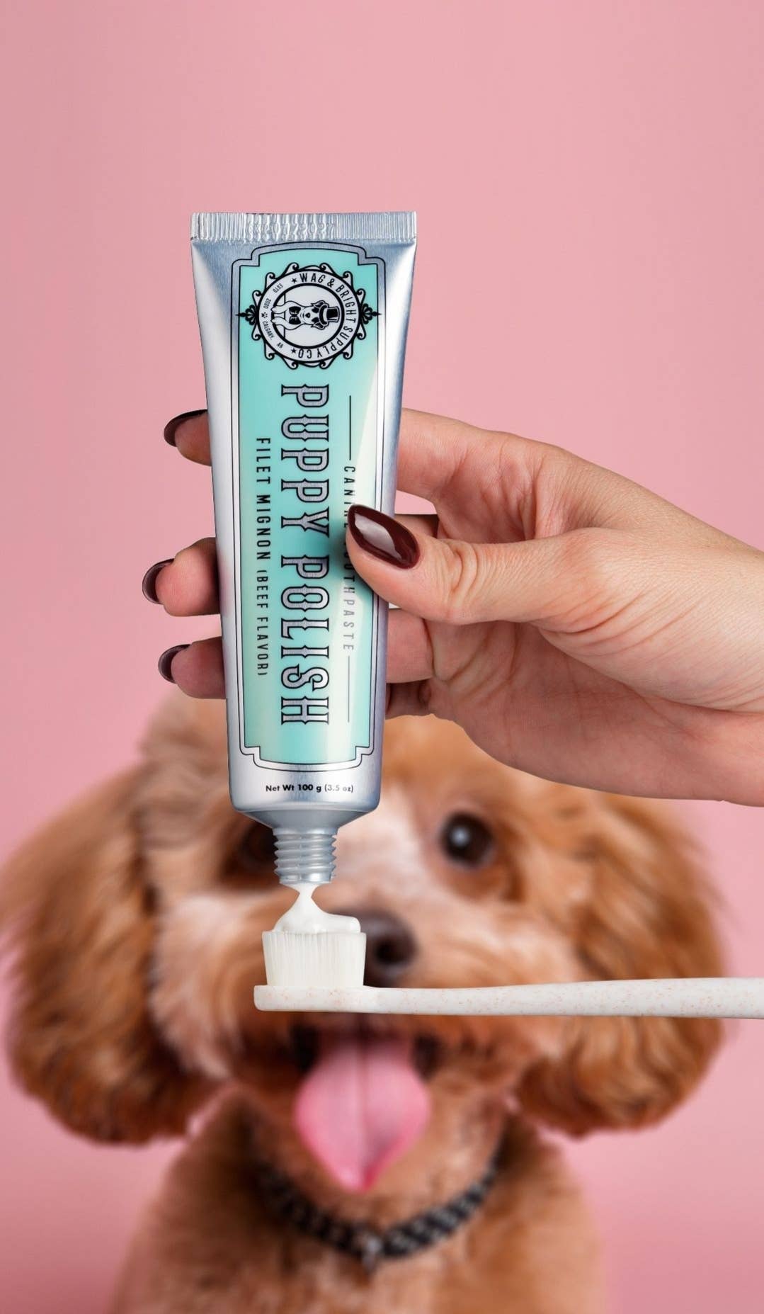 Wag & Bright Supply Co. - Puppy Polish Toothpaste - Filet Mignon (Beef) - Doglicious Bakery Bites