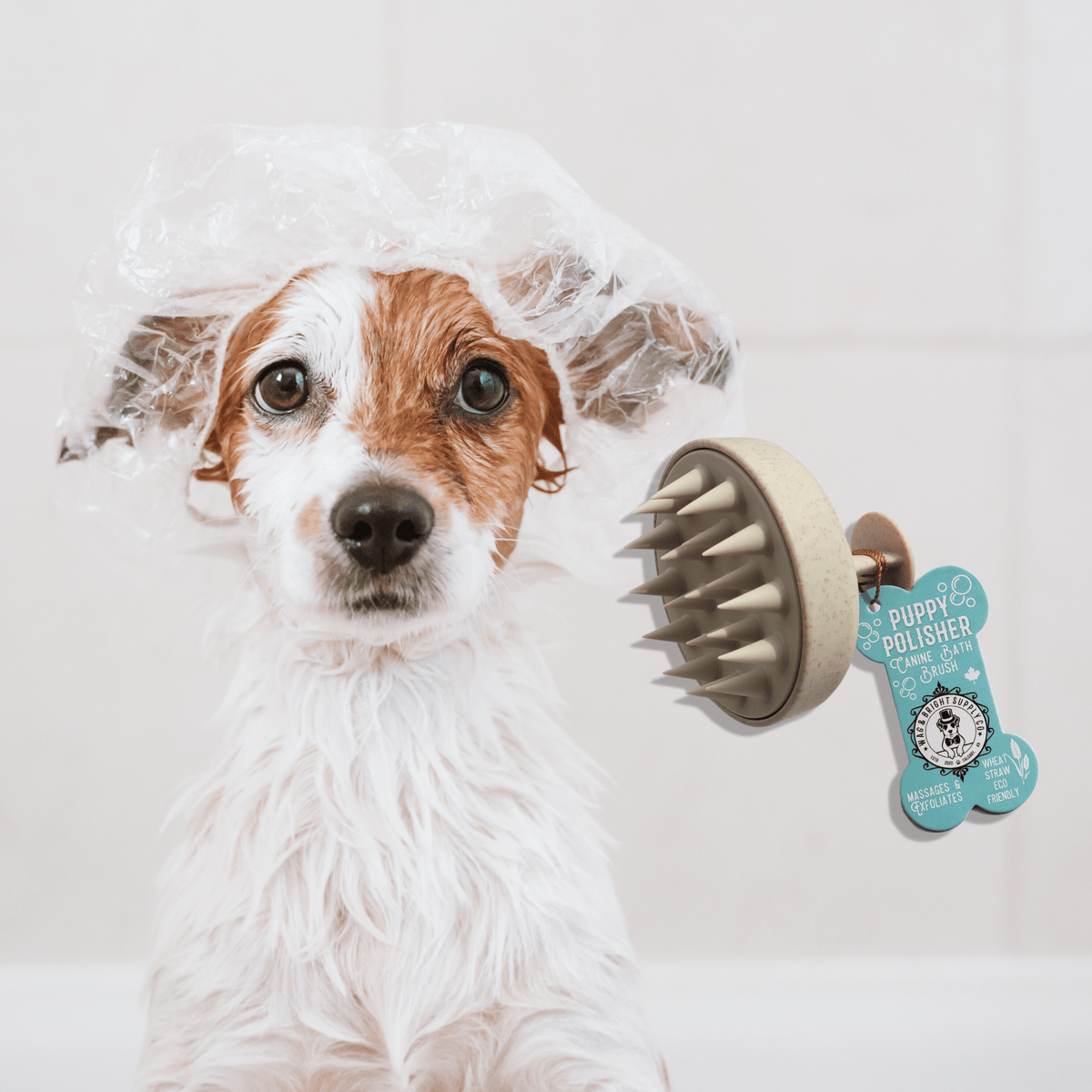 Wag & Bright Supply Co. - Puppy Polisher Eco Shampoo Brush - Doglicious Bakery Bites
