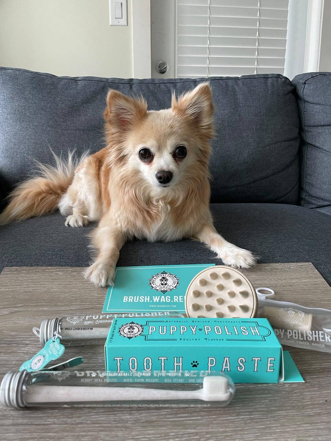 Wag & Bright Supply Co. - Puppy Polisher Eco Shampoo Brush - Doglicious Bakery Bites