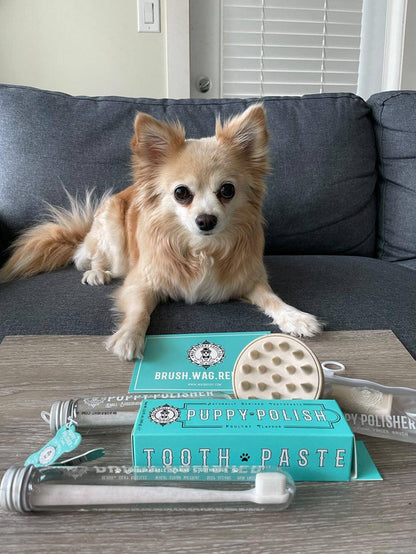 Wag & Bright Supply Co. - Puppy Polisher Eco Shampoo Brush - Doglicious Bakery Bites