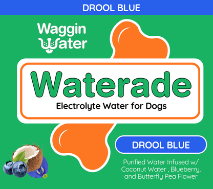 Waggin Water - Drool Blue Hydration Drink - Doglicious Bakery Bites