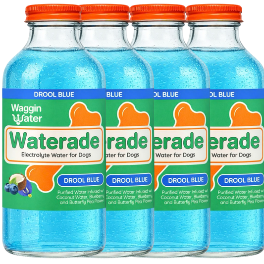 Waggin Water - Drool Blue Hydration Drink - Doglicious Bakery Bites