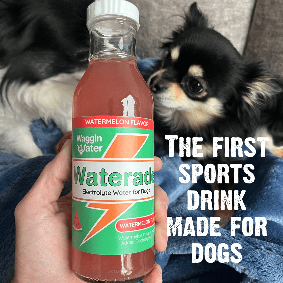 Waggin Water - Fruity Punch Hydration Drink - Doglicious Bakery Bites