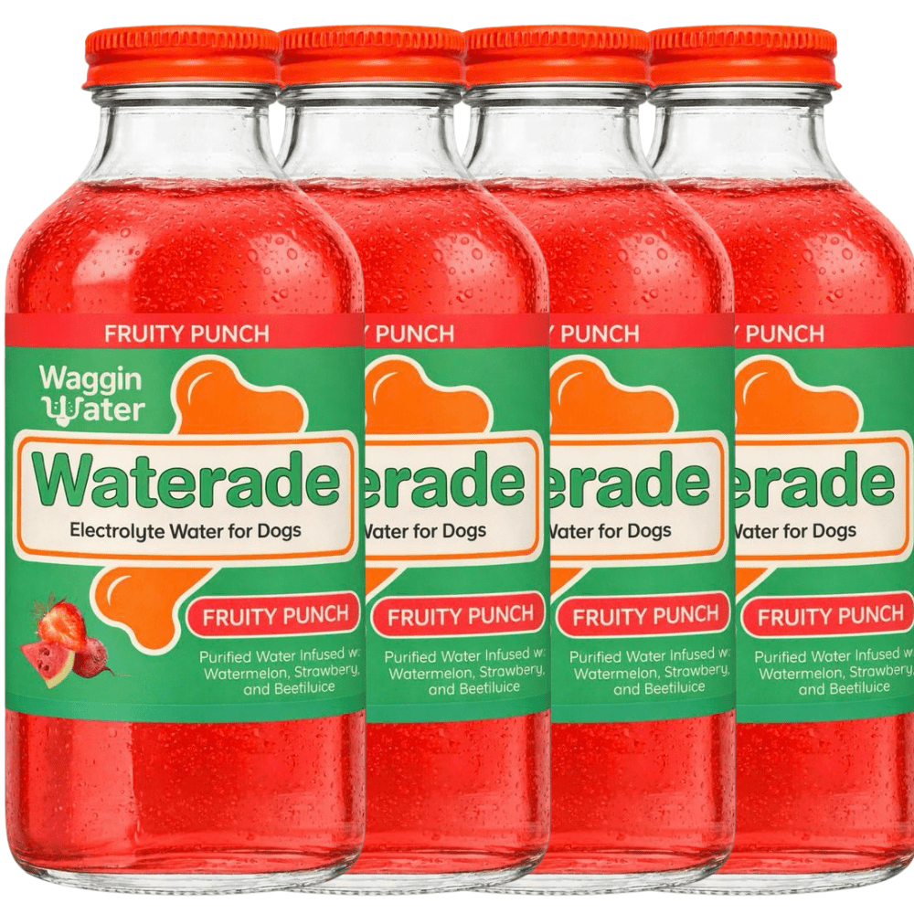 Waggin Water - Fruity Punch Hydration Drink - Doglicious Bakery Bites