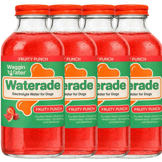 Waggin Water - Fruity Punch Hydration Drink - Doglicious Bakery Bites