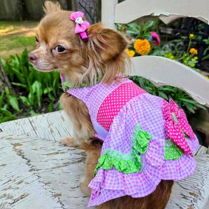 Watermelon Dog Harness Dress w/ Matching Leash - Doglicious Bakery Bites