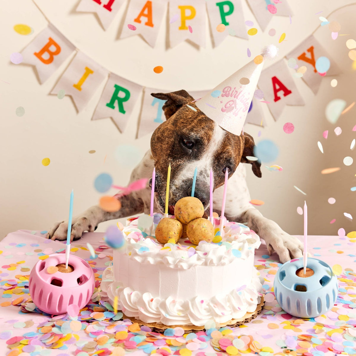 Woof - Birthday Pops - Doglicious Bakery Bites