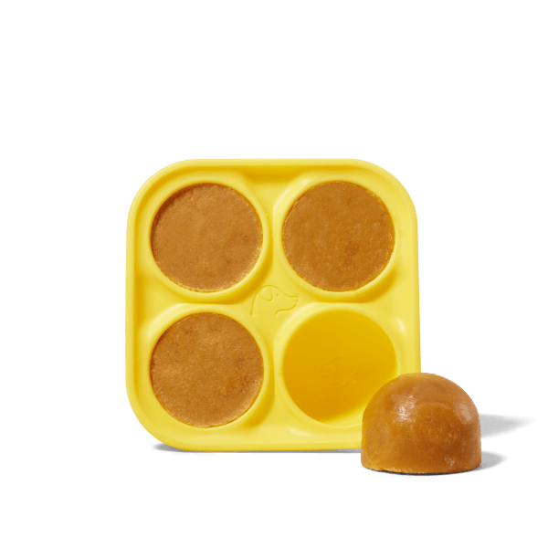 Woof - Pupsicle Treat Tray - Doglicious Bakery Bites