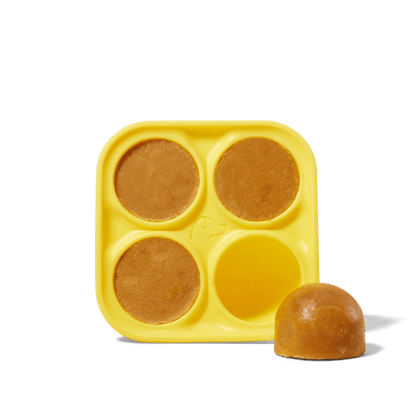 Woof - Pupsicle Treat Tray - Doglicious Bakery Bites
