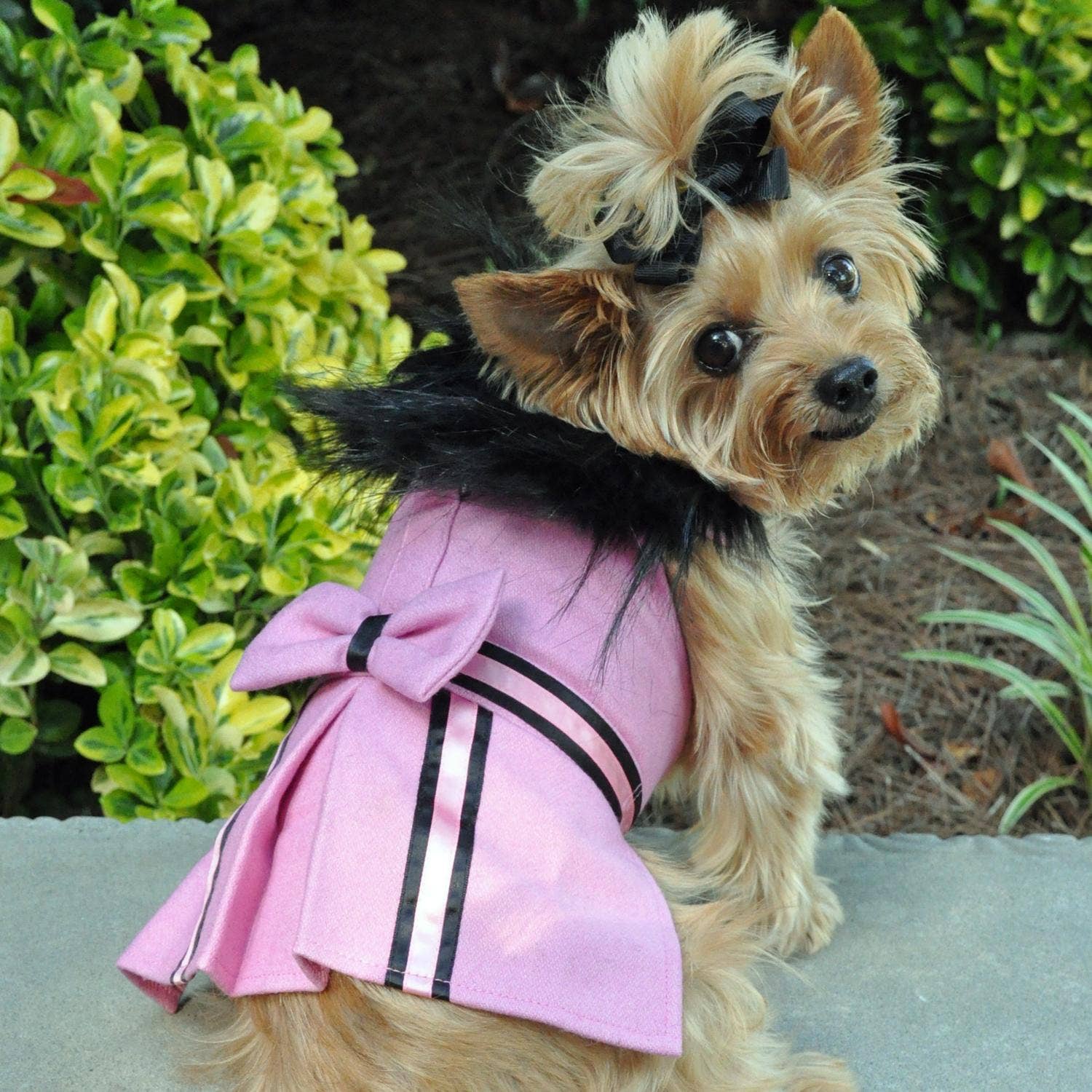 Wool Fur-Trimmed Dog Harness Coat - Pink - Doglicious Bakery Bites