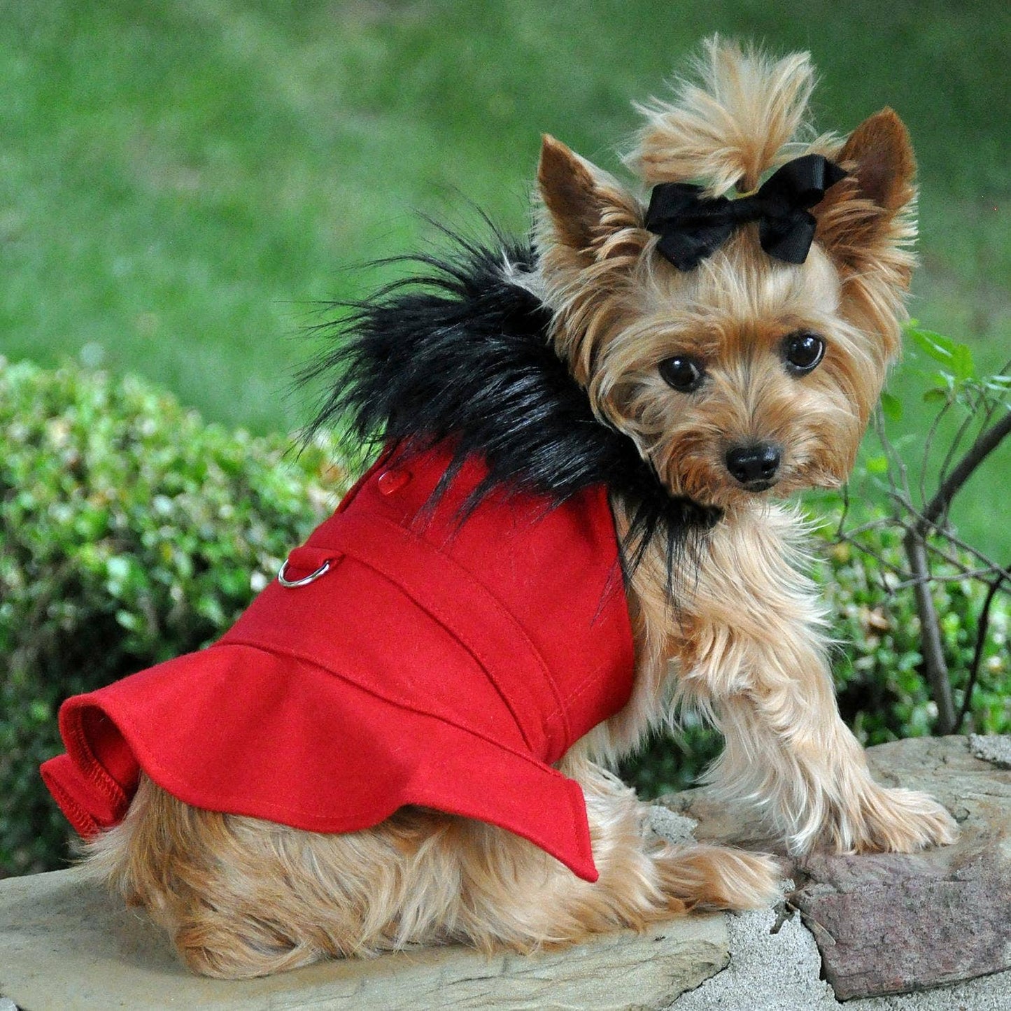 Wool Fur - Trimmed Dog Harness Coat - Red - Doglicious Bakery Bites