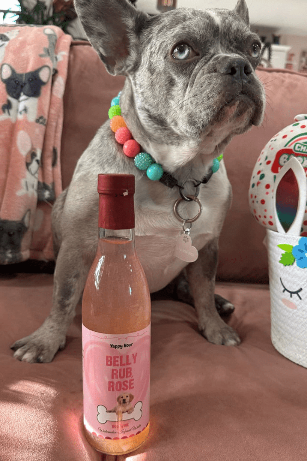 Yappy Hour - Belly Rub Rosé Dog Wine | 6ct | Watermelon - Doglicious Bakery Bites