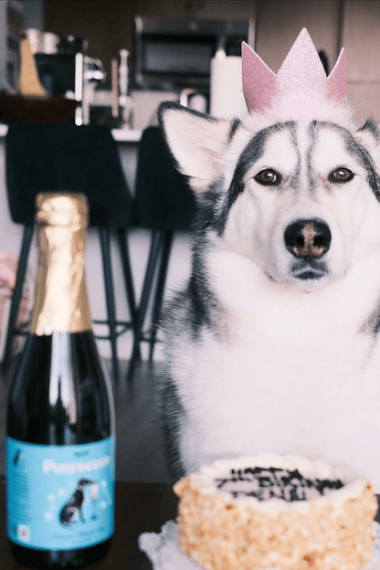 Yappy Hour - Pawsecco Dog Prosecco - Doglicious Bakery Bites