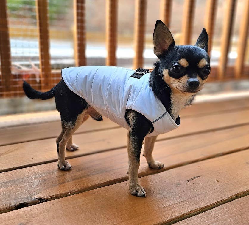 Zip-up Dog Puffer Vest - White - Doglicious Bakery Bites